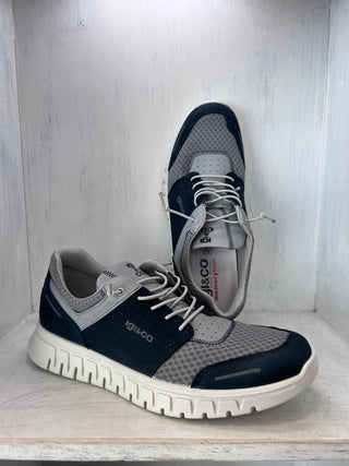 UOMO - Sneakers - IGI & CO - 5623400