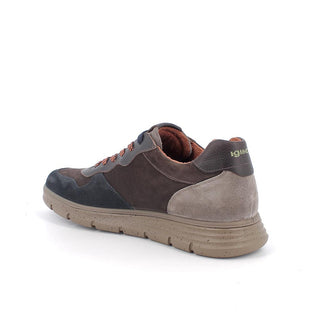 UOMO - Sneakers - IGI & CO - 8616100