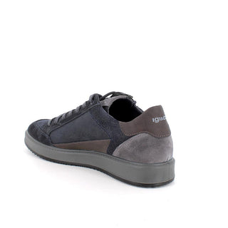 UOMO - Sneakers - IGI & CO - 8633811