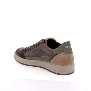 UOMO - Sneakers - IGI & CO - 8633822