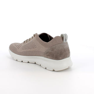 UOMO - Sneakers - IGI & CO - 1109233