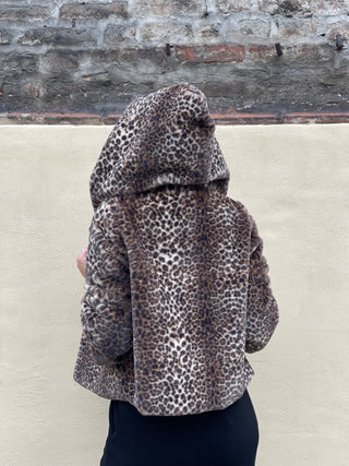 Pellicciotto LEOPARD