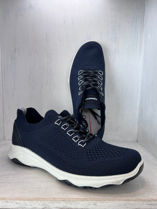 UOMO - Sneakers - IGI & CO - 5621500