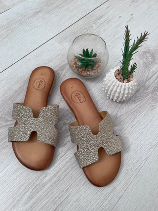 Ciabatte - MIHA - 1080 TAUPE